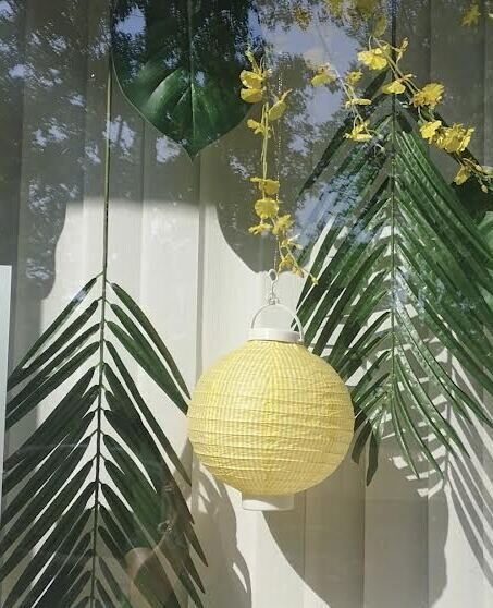 Schaufenster